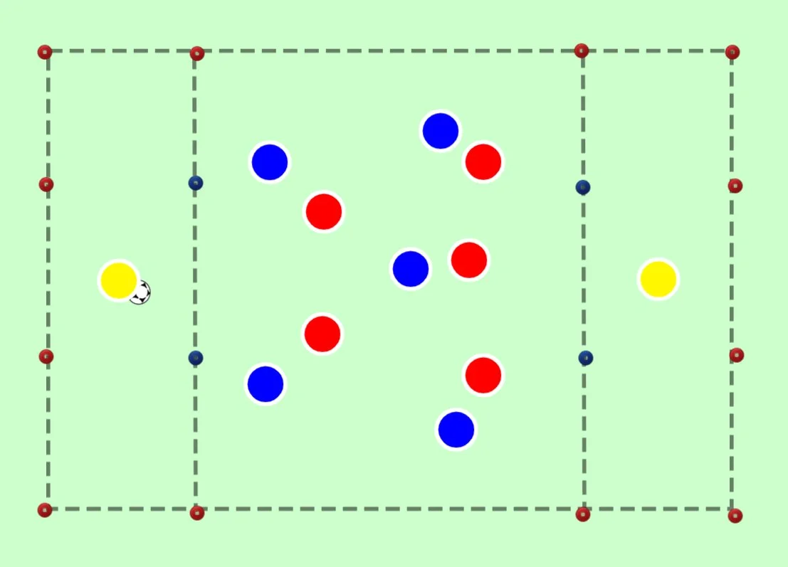 Animated tactics visuals for training demonstration